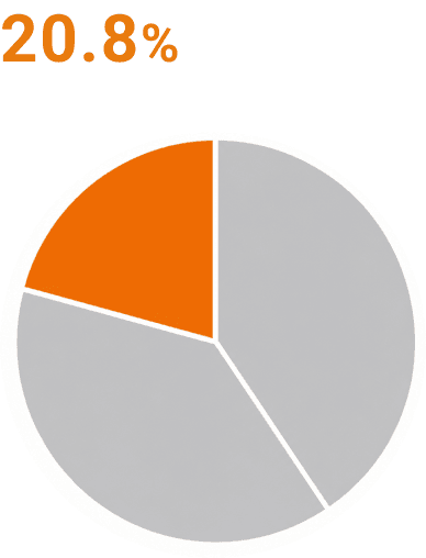 Filter Business Sales Composition Ratio by Segment