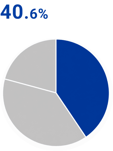 Precision Dies Business Sales Composition Ratio by Segment