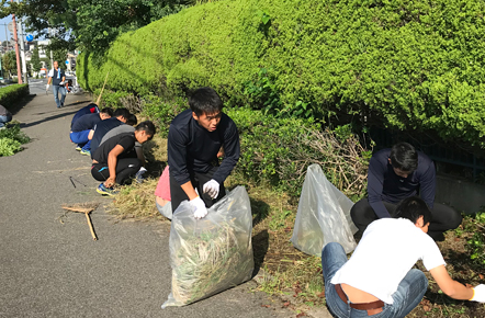 Cleaning activity in local community